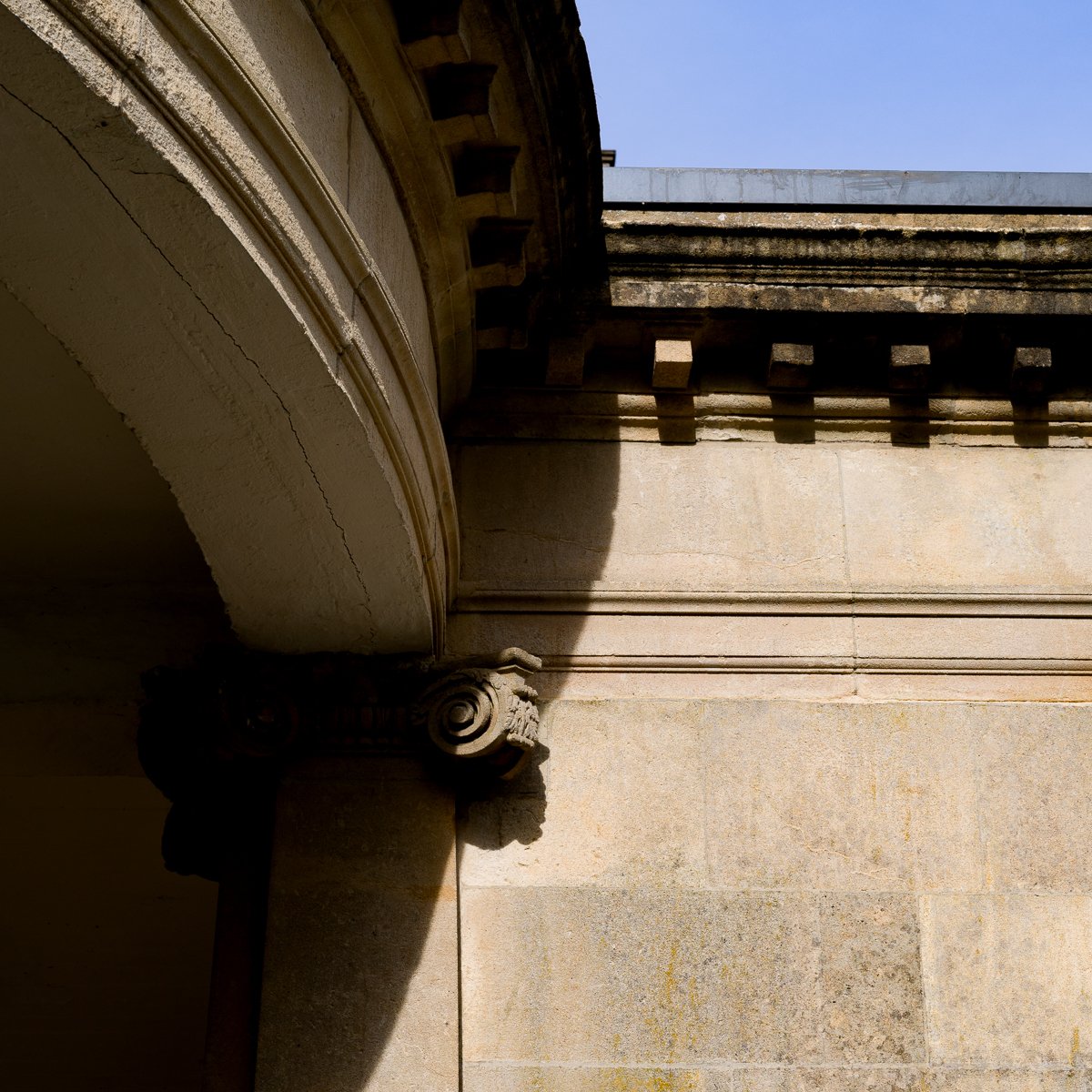 Sydney Gardens