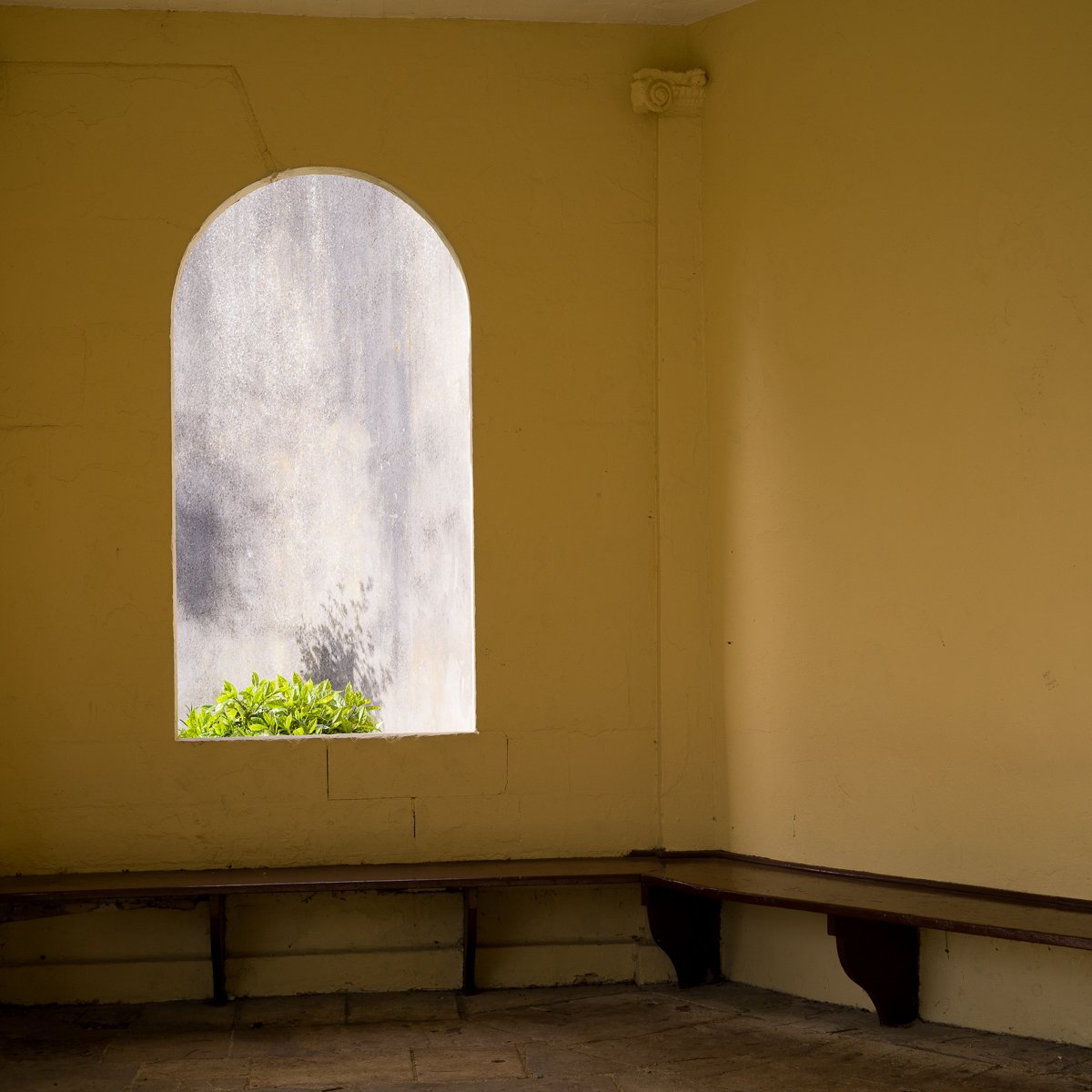 Sydney Gardens