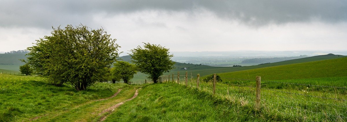 Wiltshire Downs
