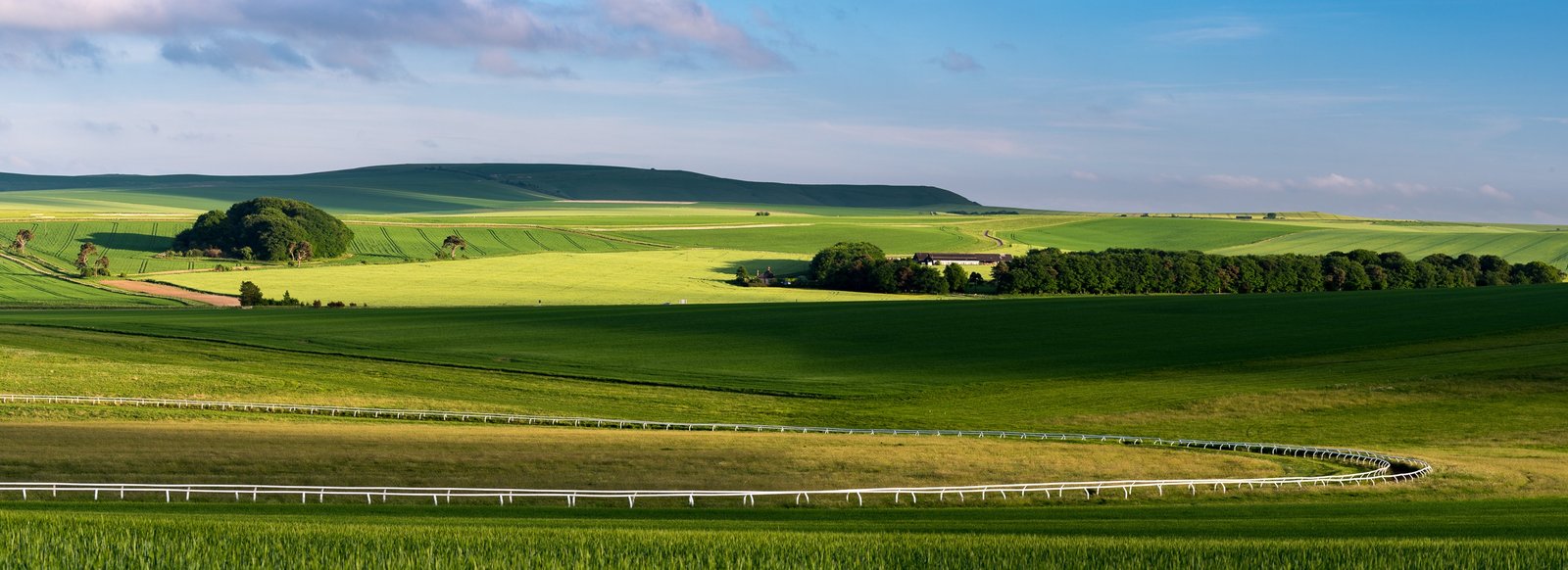 Wiltshire Downs