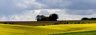 Salisbury Plain, Wiltshire