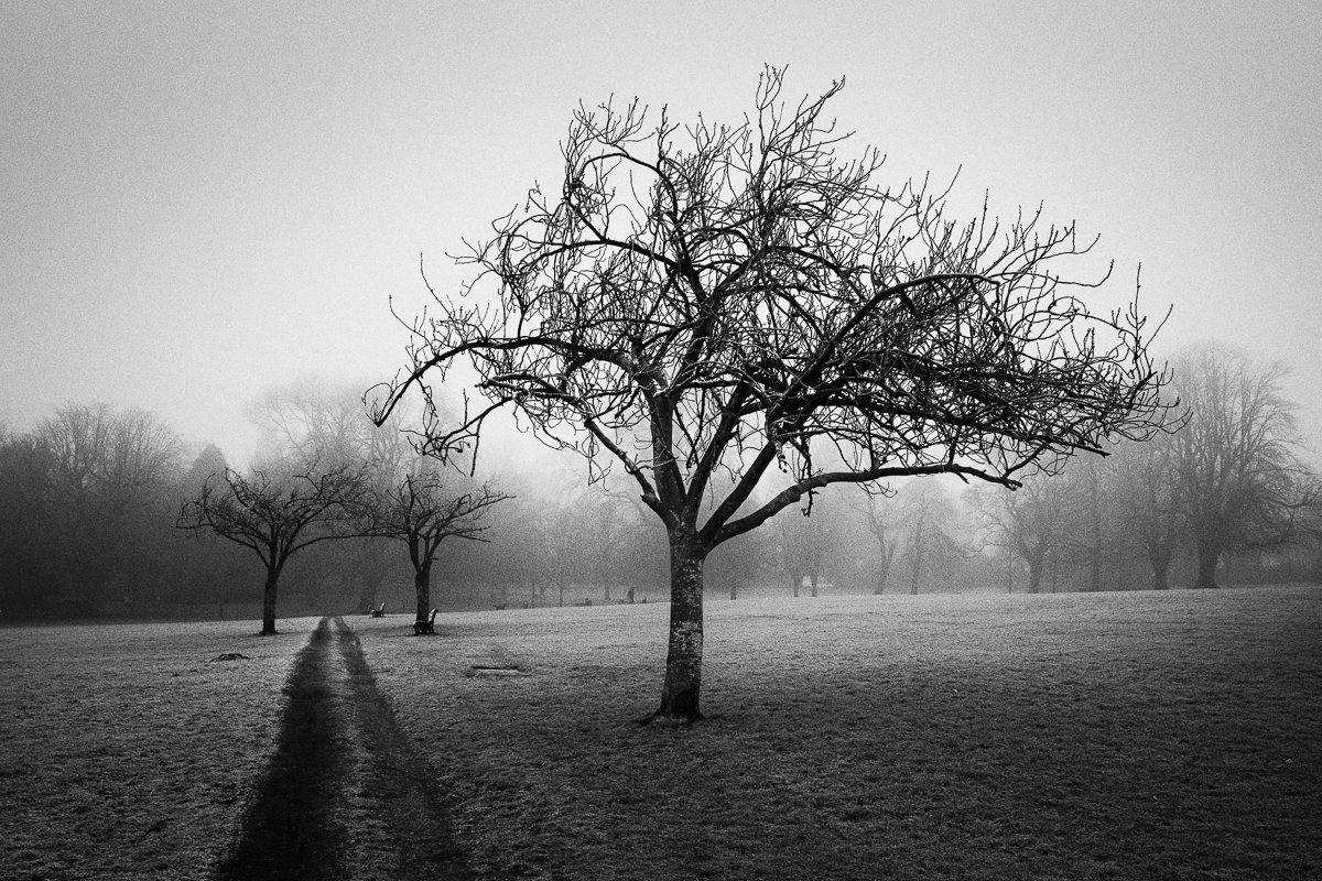 Royal Victoria Park