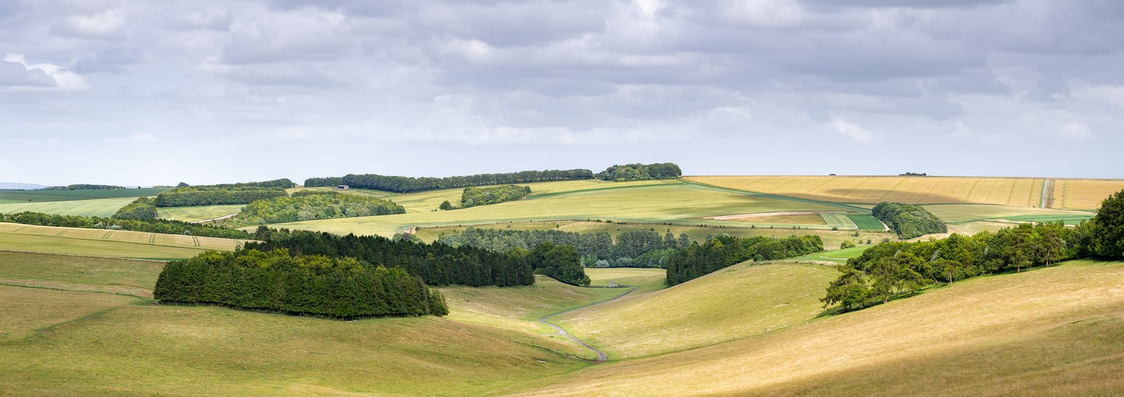 Salisbury Plain