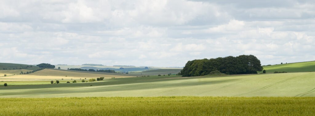 Roundway Hill, Wiltshire