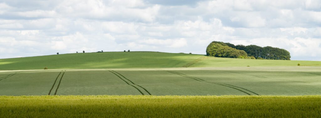 Roundway Hill, Wiltshire