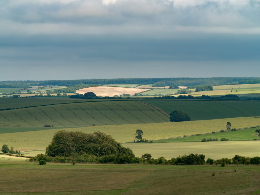 Horton Down, Wiltshire