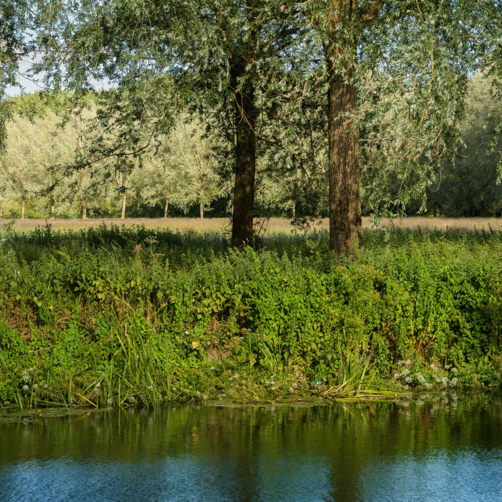 Bradford on Avon, Wiltshire