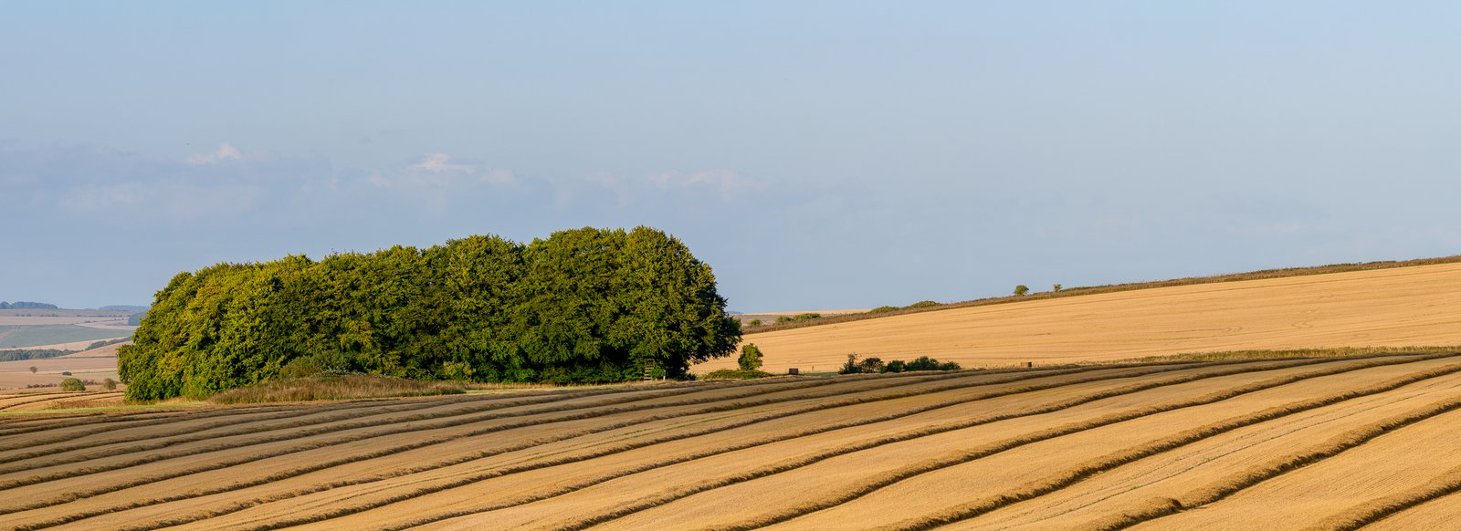 Roundway Hill
