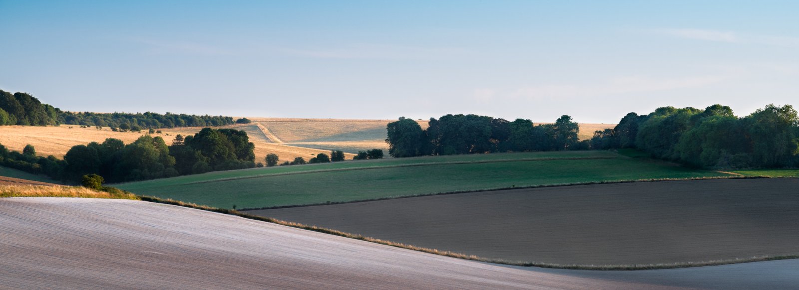 Salisbury Plain