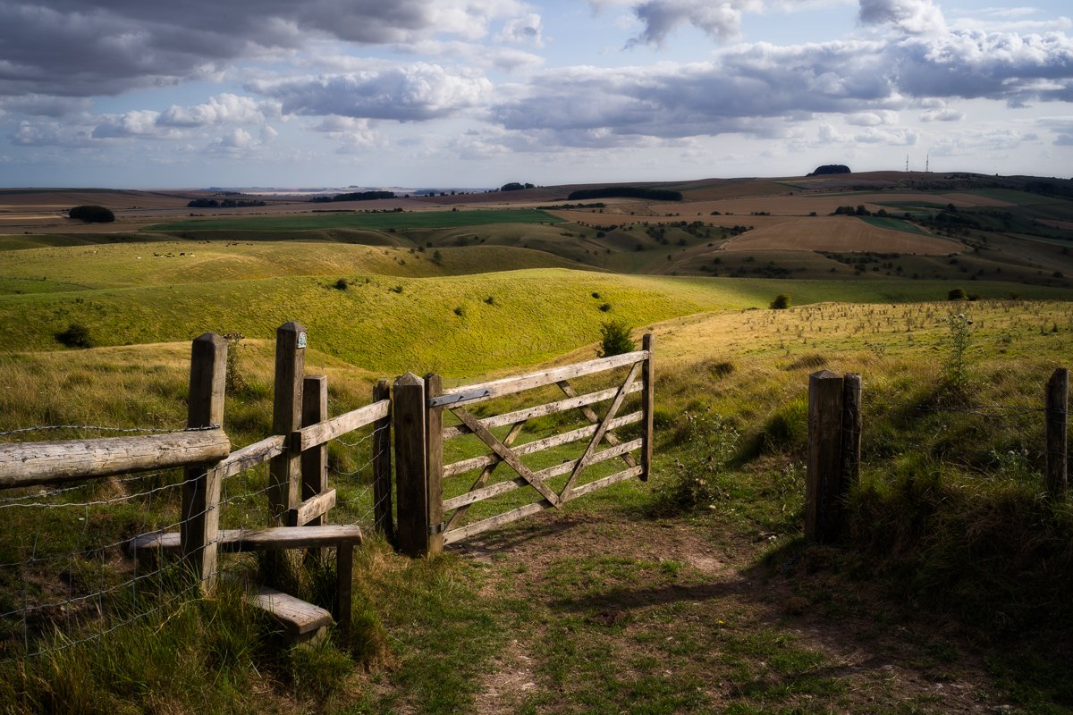 View from Cherhill Down